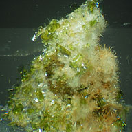 inclusions