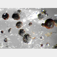 inclusions