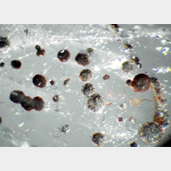 inclusions